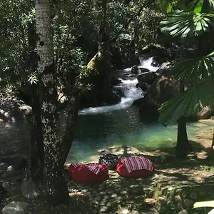 Holiday home Daintree Secrets Rainforest Sanctuary, Diwan